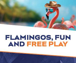 Flamingos, Fun & Free Play