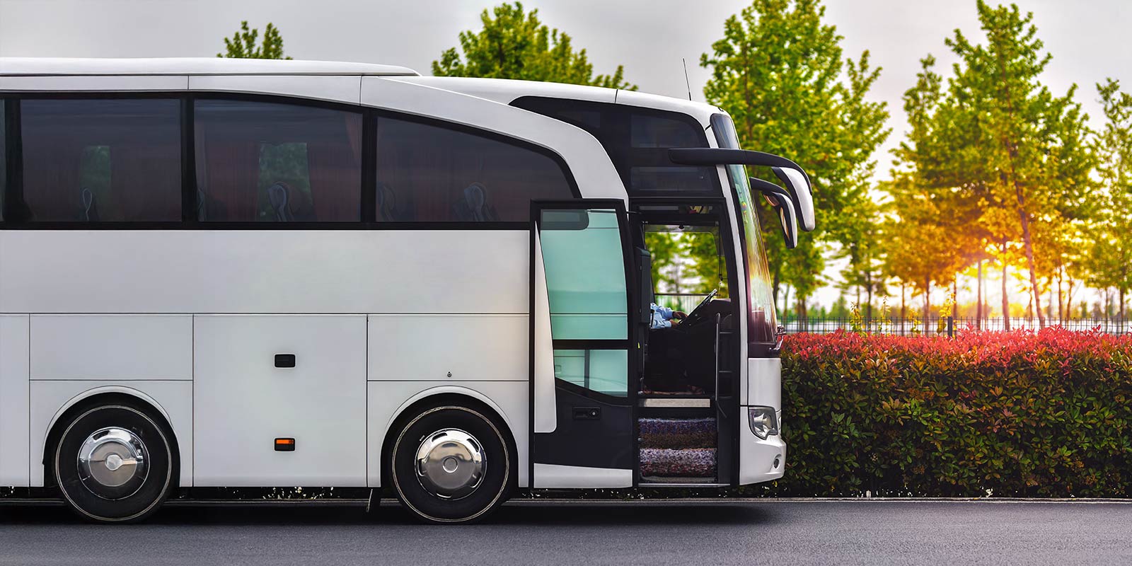 White coach bus parked near bushes and trees