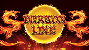 Dragon Link Logo
